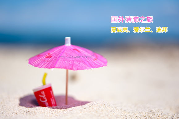 雾霾再见 和BB来一场清肺之旅 雾霾再见 和BB来一场清肺之旅